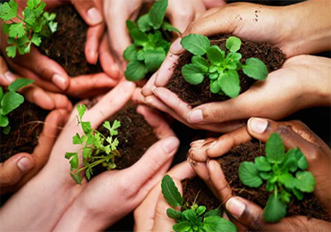 The latest new environmentally friendly packaging materials: bio-based, all-natural degradable materials